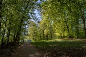 Verbundenheit mit der Schöpfung ist das Ziel jeder spirituellen Entwicklung