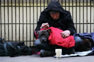 Obdachlos, die Not rückt näher, Mann mit Hund, Homeless